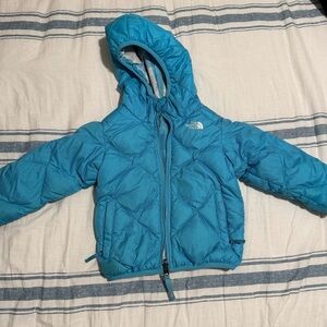 The North Face Bright Blue Toddler Jacket